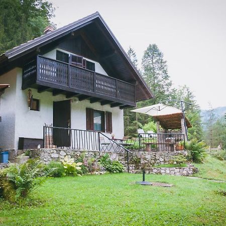 Naturalina Holiday House Gorenja Trebusa Bagian luar foto