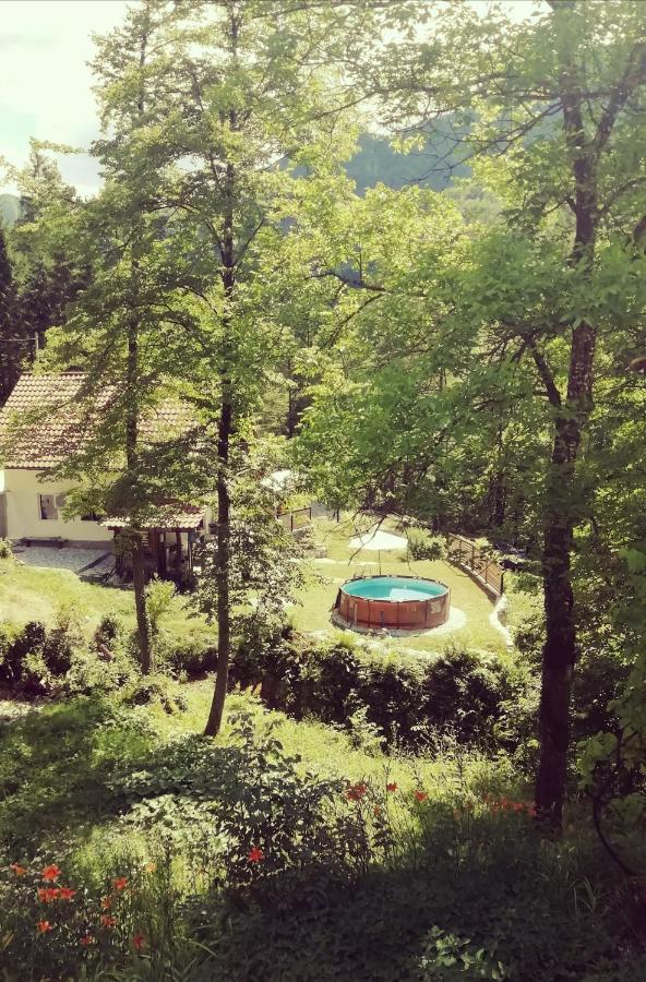 Naturalina Holiday House Gorenja Trebusa Bagian luar foto