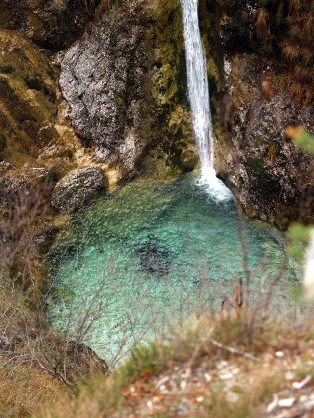 Naturalina Holiday House Gorenja Trebusa Bagian luar foto