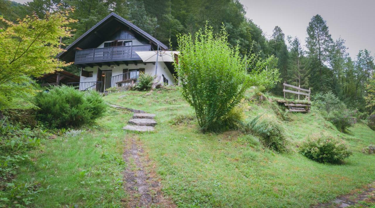 Naturalina Holiday House Gorenja Trebusa Bagian luar foto