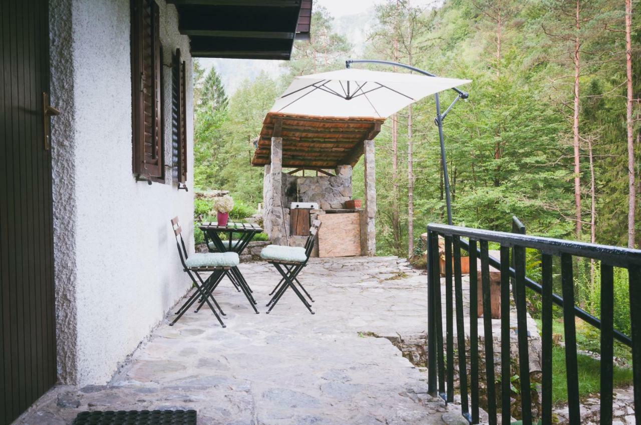 Naturalina Holiday House Gorenja Trebusa Bagian luar foto